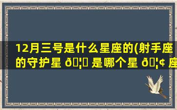 12月三号是什么星座的(射手座的守护星 🦋 是哪个星 🦢 座)